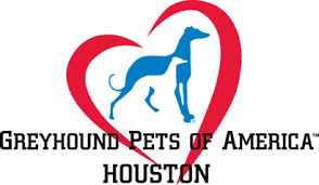 Greyhound Pets of America – Houston